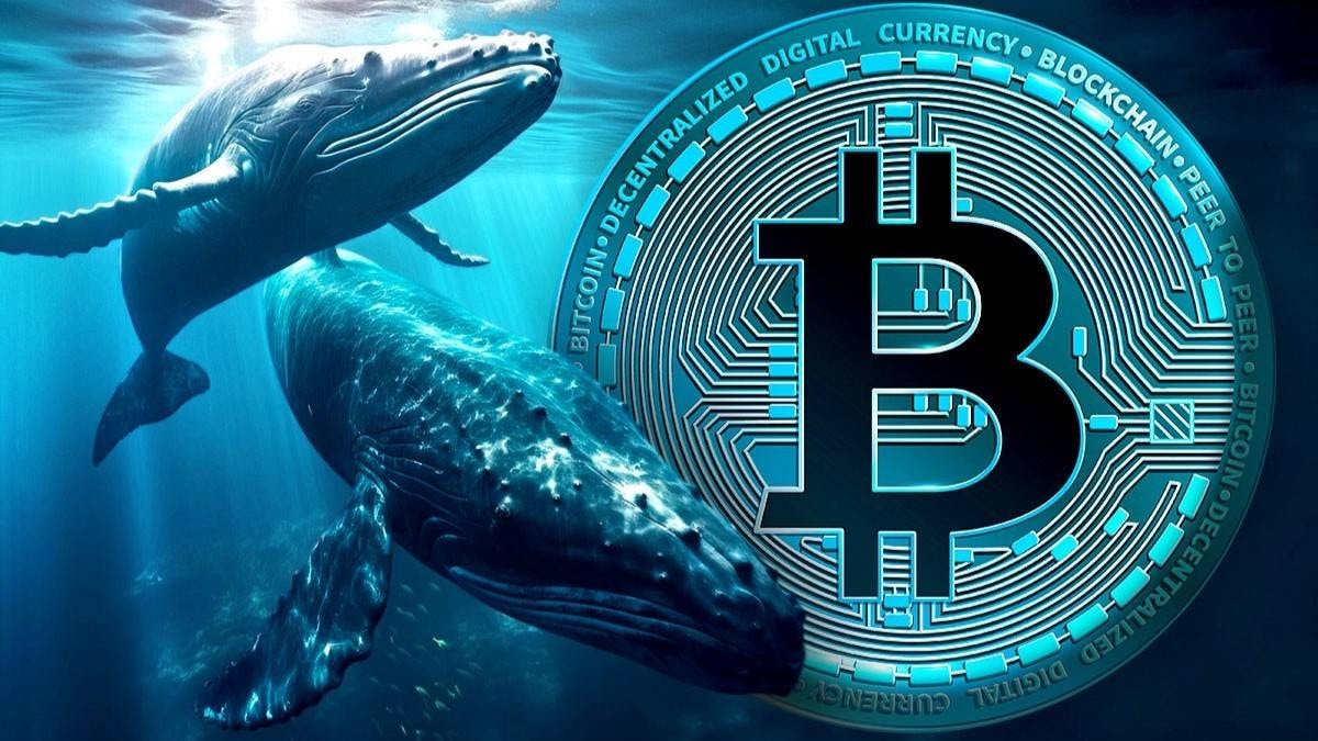 Cá voi Bitcoin xả 114.920 BTC trong 30 ngày – Đợt bán lớn nhất từ giữa 2022