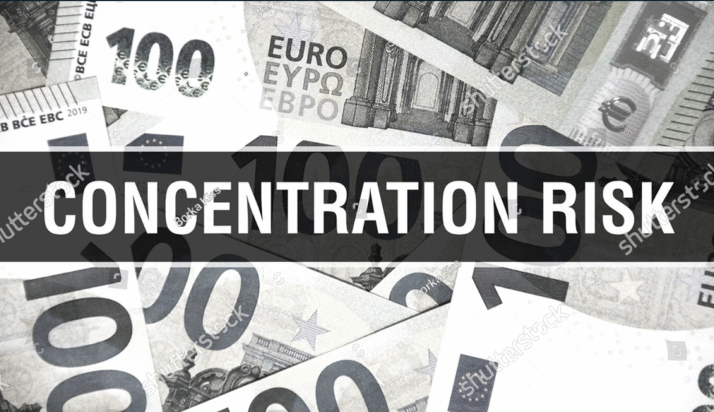 Chuyên gia cảnh báo rủi ro tập trung vốn chưa từng có.